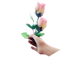 Ramo vuelto. png Ramo vuelto. png