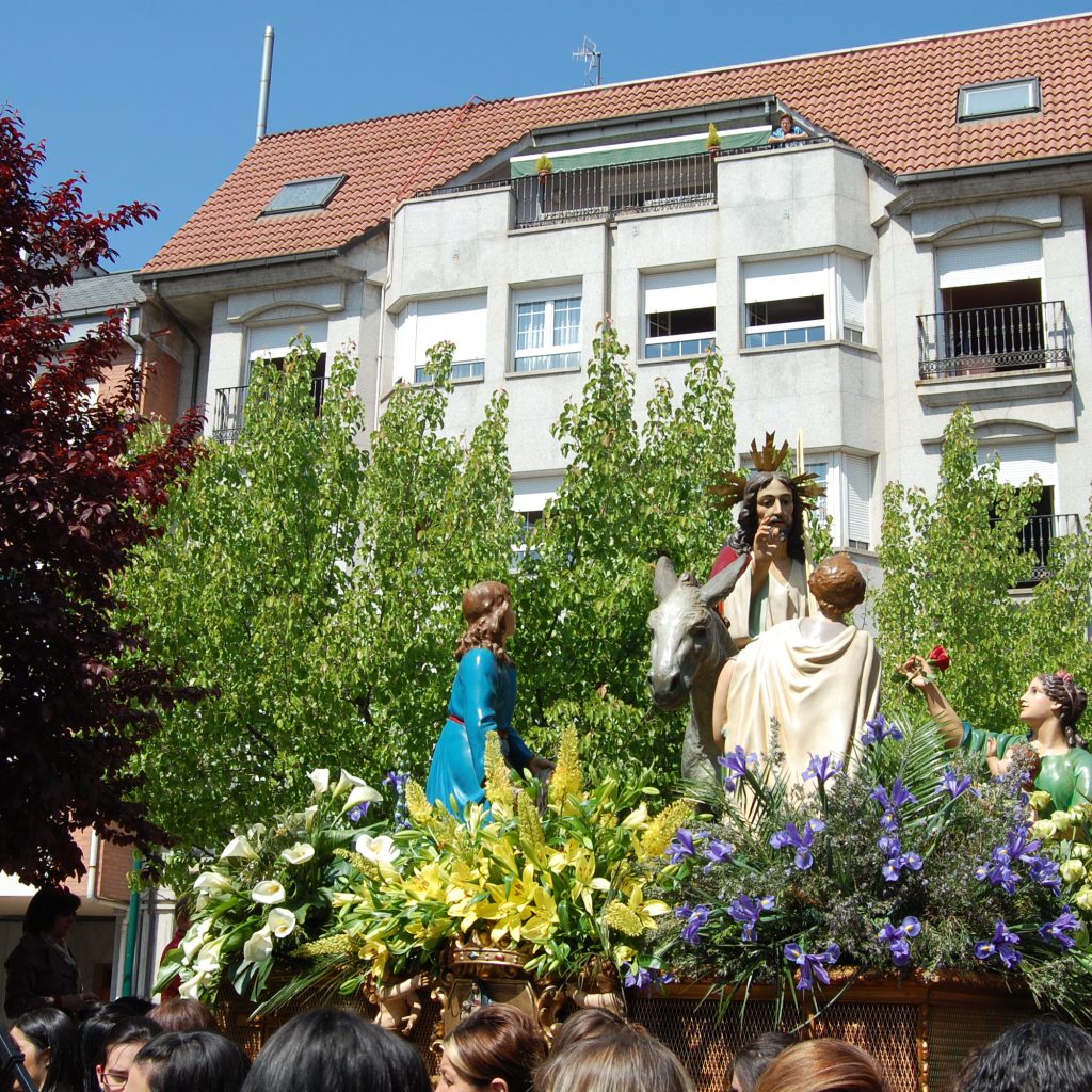 La Borriquilla. Domingo de Ramos 17-04-2011 Fotos Eleuterio García (13)